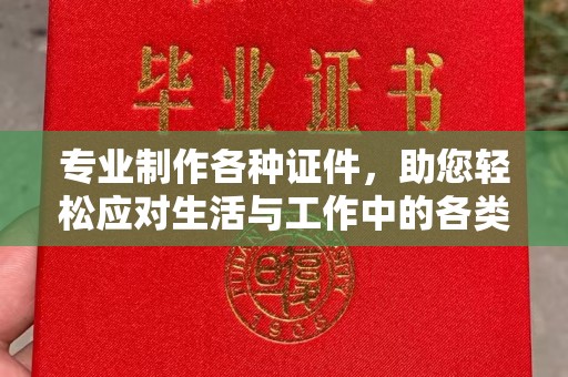 三亚专业制作各种证件，助您轻松应对生活与工作中的各类需求