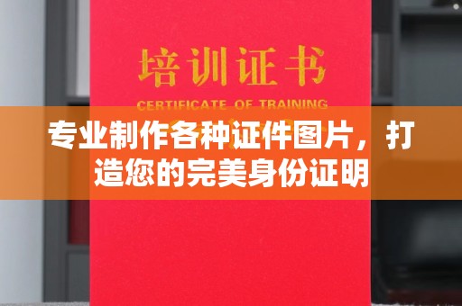 三亚专业制作各种证件图片，打造您的完美身份证明