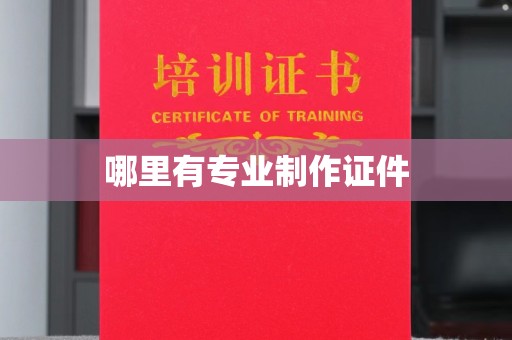 三亚哪里有专业制作证件
