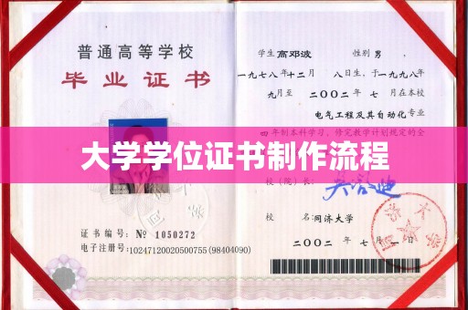 三亚大学学位证书制作流程