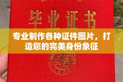 三亚专业制作各种证件图片，打造您的完美身份象征
