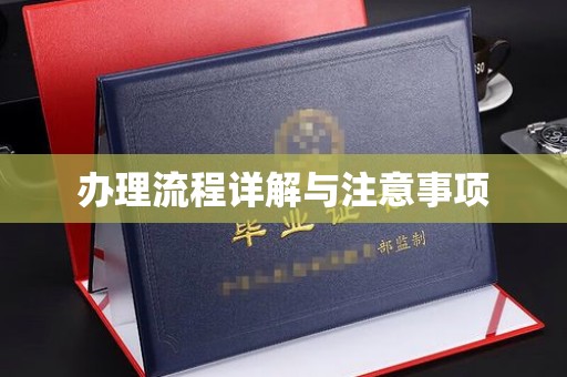 三亚办理流程详解与注意事项